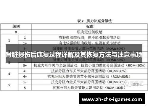 肾脏损伤后康复过程详解及其恢复方法与注意事项